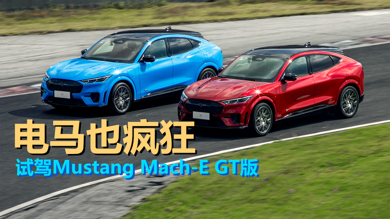 Cars01ԇ{حRҲ ԇ{Mustang Mach-E G