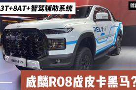 车长超5米3 2.3T+8AT+智驾辅助系统 奇瑞威麟R08这价格行吗？