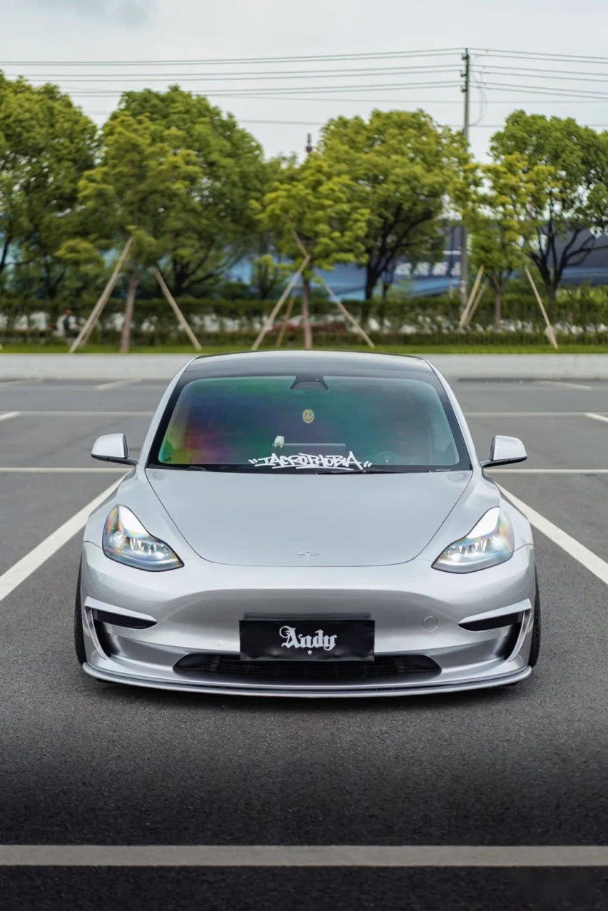 姿态风特斯拉Model 3，从迷彩战斗范变身成优雅绅士