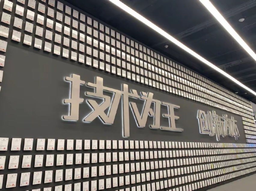 中国新能源汽车表现出色，实现了弯道超车，比亚迪销量遥遥领先