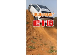 它外号叫电动小陆巡，爬坡到底行不行？
