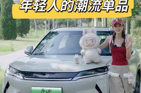 开元UP智驾版买潮玩Labubu，体验感如何？