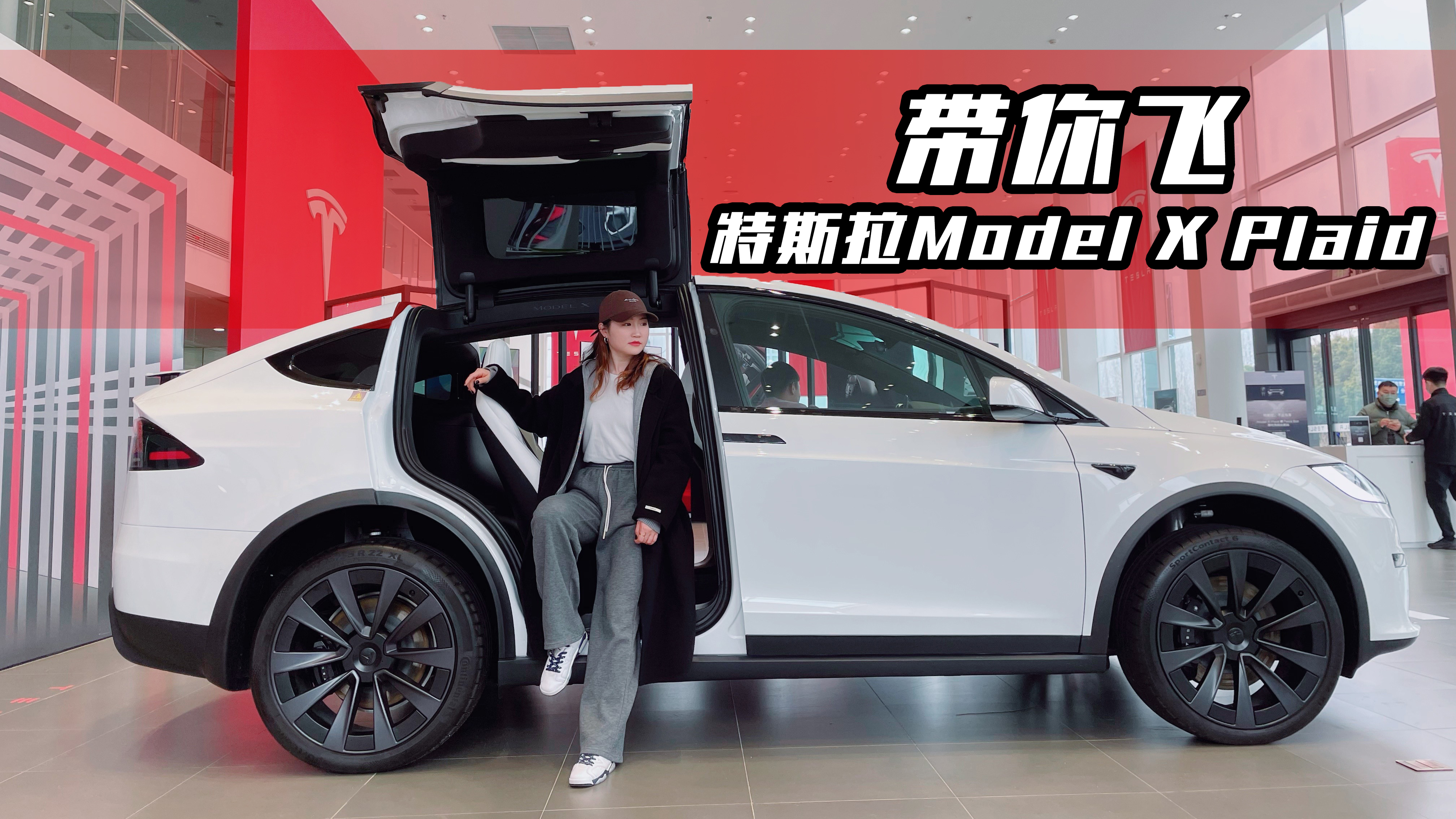 С���̽����˹��Model X Plaid�������Ƽ���ݻ����û�㶮