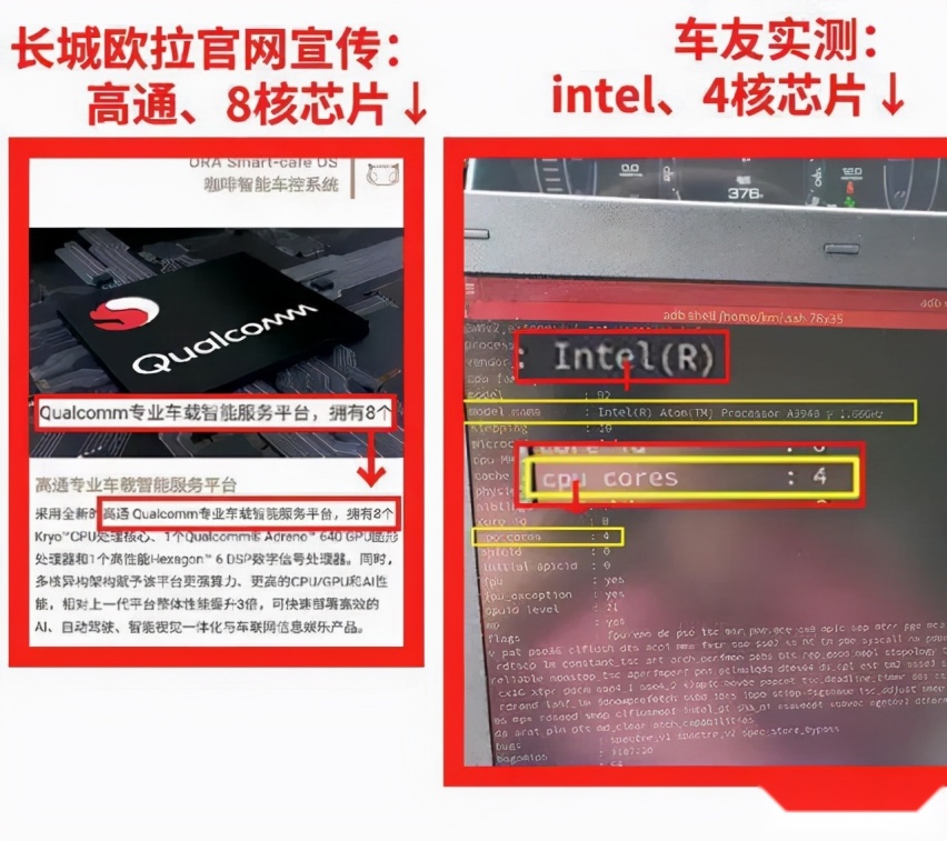 都说中国人不骗中国人，欧拉咋就不明白呢？