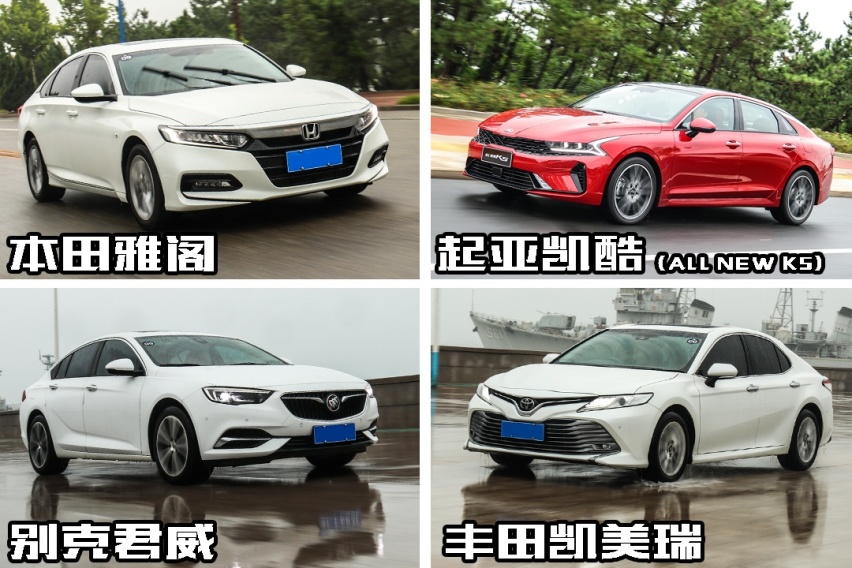 动态.jpg