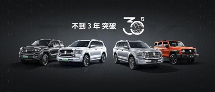 都市机能越野SUV坦克400 Hi4-T正式上市 售价27.98万起