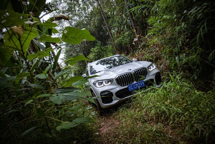 2020 新BMW X5雨林体验季正式开启