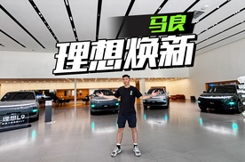 理想L系，谁更值得入手？