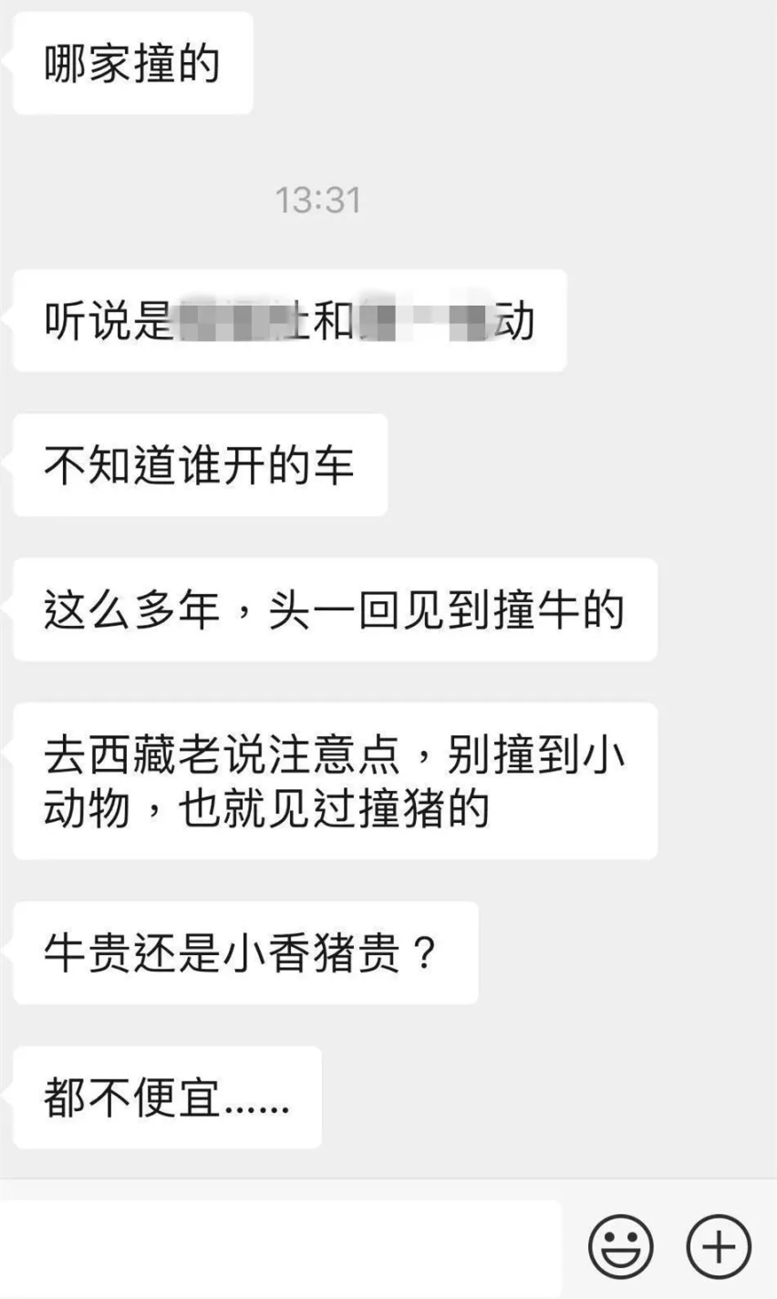 宝马X1新能源试驾途中出意外，失控撞沙丘还有人暴力驾驶撞死牛