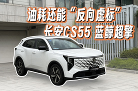 很久没开蓝牌油车做油耗挑战了，这次居然有点“反向虚标”？