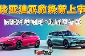 后驱纯电钢炮+超混旅行车，比亚迪海洋网双豹焕新上市