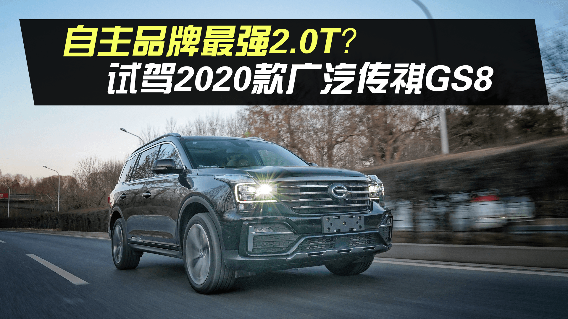 Ʒǿ2.0TԼ2020GS8