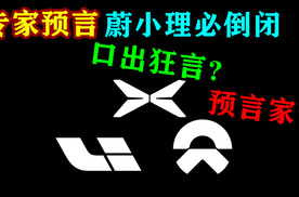 专家预言蔚小理必倒闭，口出狂言？预言家？