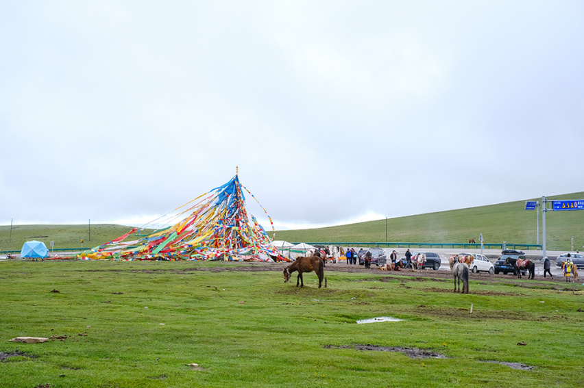 标致4008环青海长测Day9：鸟岛叫“蚊子岛”，沿青海沿线达刚察！