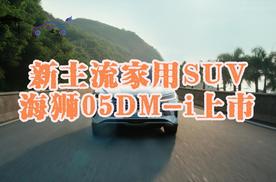 新主流家用suv 海狮05DM-i上市