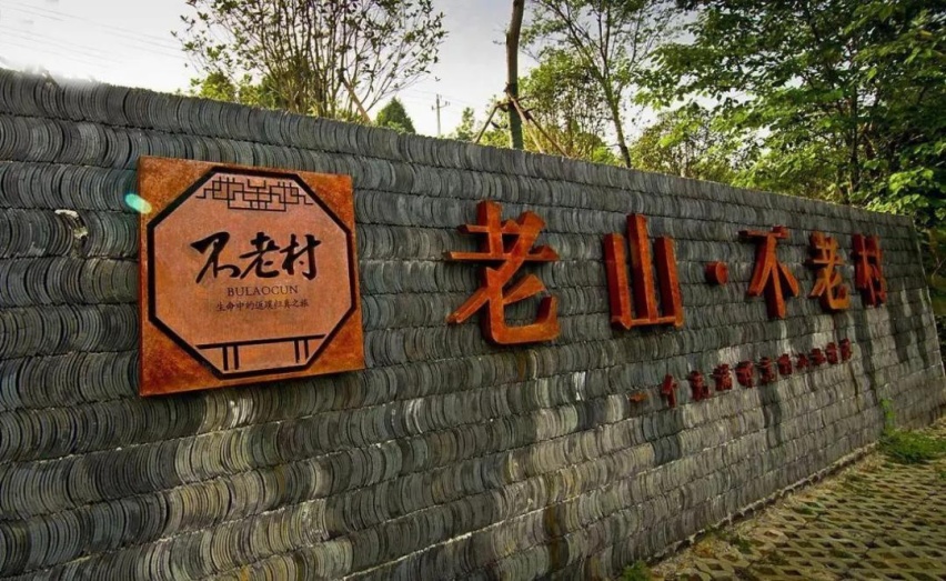 开了享域锐·混动半年后 ,车主说最满意这三点