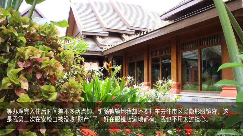 吉利幸福花田测和初恋的夏天—彩云之南西双版纳