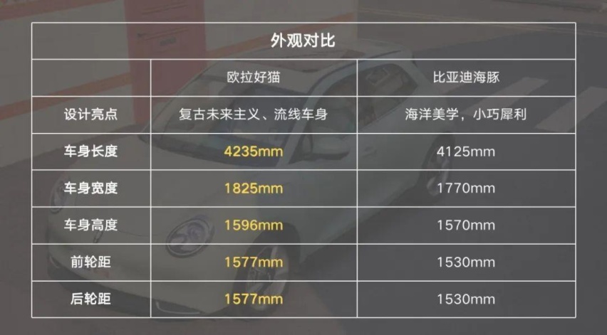 欧拉好猫对比比亚迪海豚，看谁才是女性心中性价比之王？