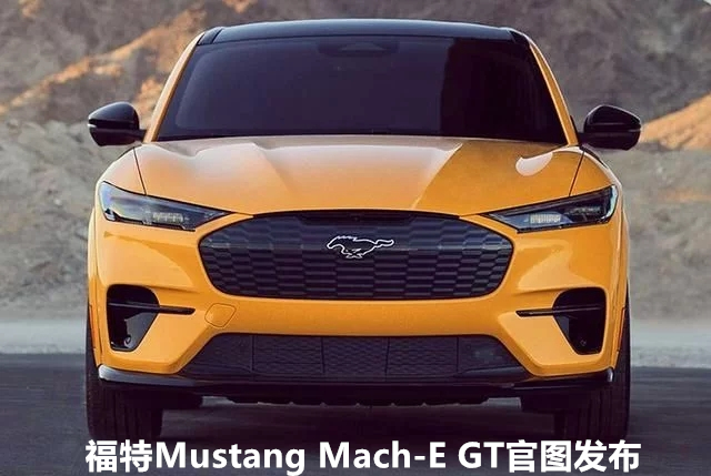 Mustang Mach-E GTͼ