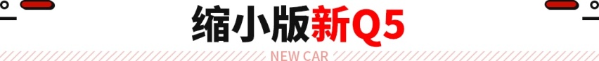 酷似燃油版Q6 E-tron！奥迪入门级SUV更新 爆款预定？