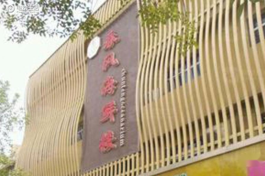 逃离城市：去东营，看黄河入海，吃海鲜！