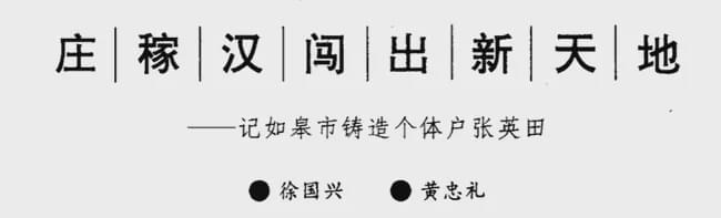 赛麟汽车项目悬而未决 大众商用车独资企业落地如皋能玩转？