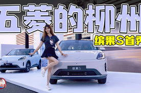 打卡五菱的柳州 五菱缤果S首秀