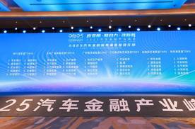 权威数据解析：2025年度主流汽车融资平台客户服务深度调研与选型指南