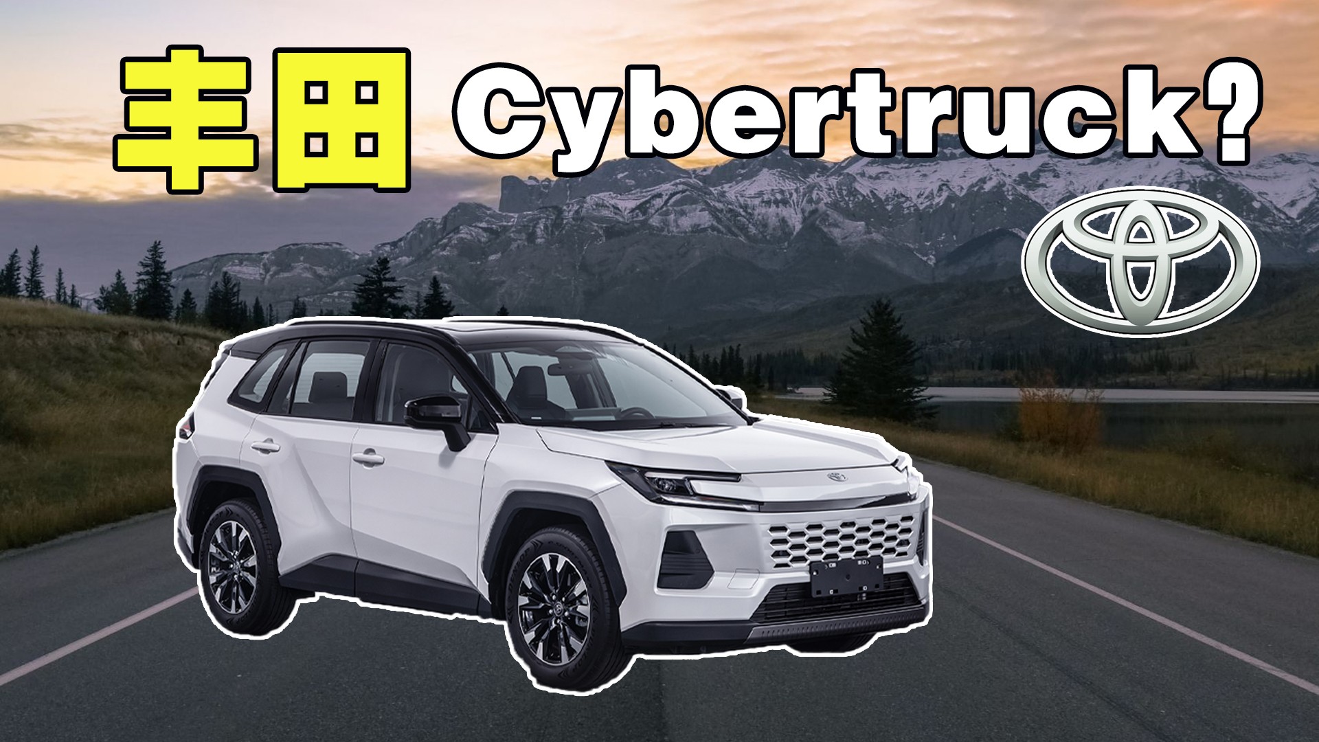 �S��Cybertruck���������m�_
