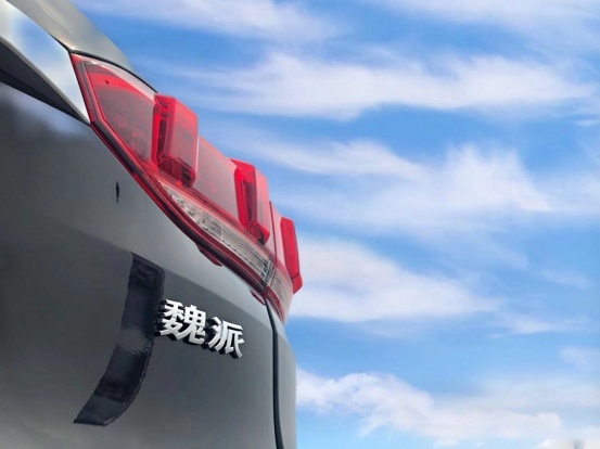 老婆给钱买皓影，小伙一冲动提了这台国产车，回家后竟人人夸