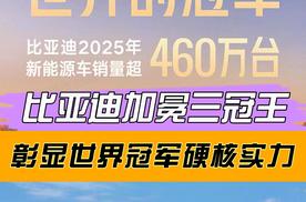 比亚迪加冕三冠王 彰显世界冠军硬核实力
