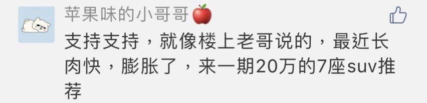 20万不买合资要选国产车？这几款7座SUV总有你的菜