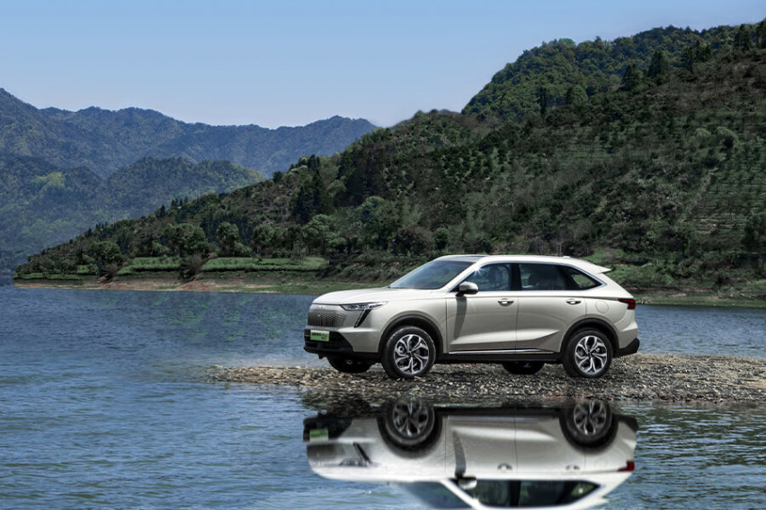 手握17万，插混SUV，选枭龙MAX还是宋PLUS DM-i