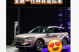 谁能拒绝一台凝霜紫的林肯冒险家？