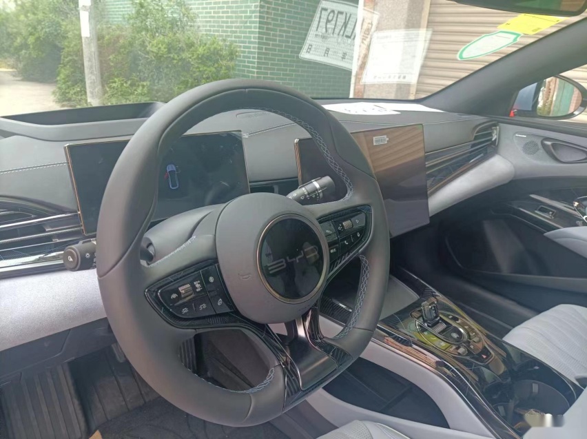 比亚迪海豹提车：等了3个多月，国产精装特斯拉值26万么？