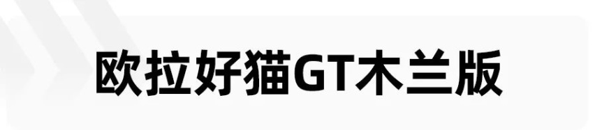 或15万起，特斯拉新车实拍谍照曝光，等不及的买这两款车也不错