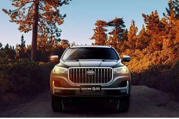 集齐私家车所有功能，不到7万起售的七座SUV，SWM斯威G0