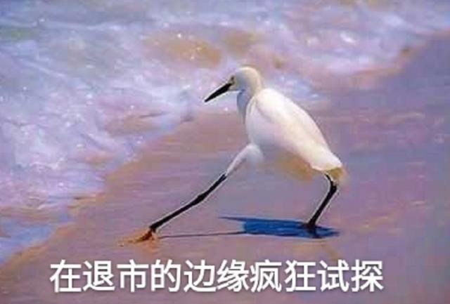 众泰汽车：在倒闭的边缘，疯狂试探