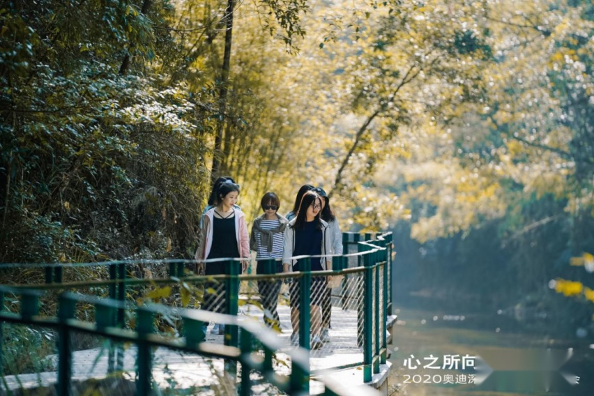 “心之所向，媒好同行”——2020奥迪深圳区域媒体答谢会