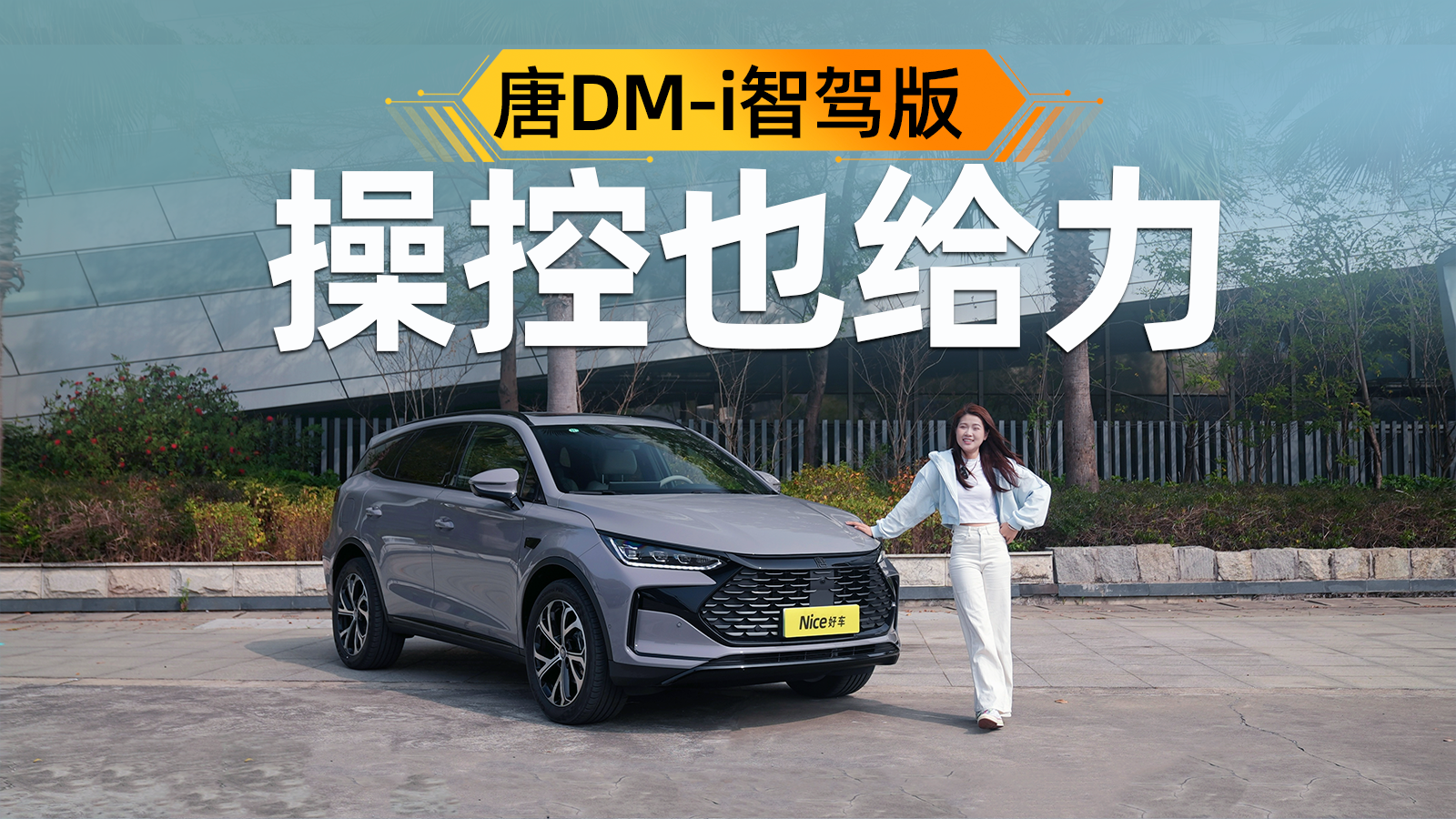 �Ա��ǵ���DM-i�Ǽݰ棺����������+FSD���𣬸�ֵһ˵