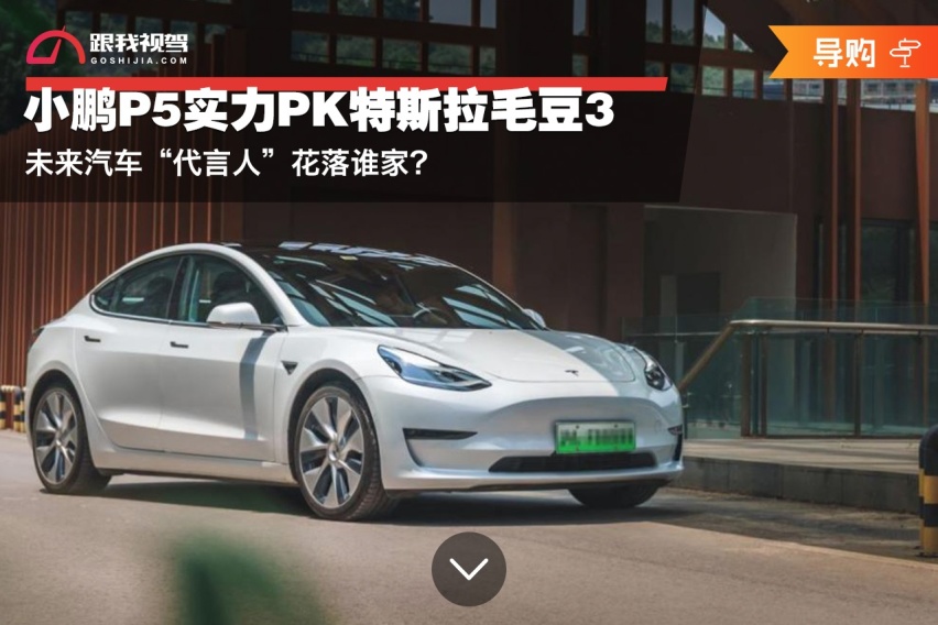 未来汽车“代言人”花落谁家？小鹏P5实力PK特斯拉毛豆3