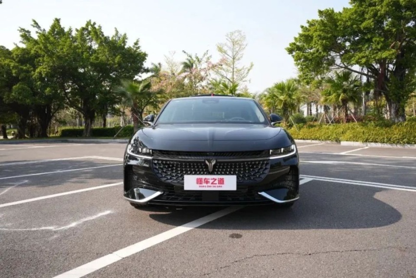 配置高又便宜的国产中大型车，谁更值得选？