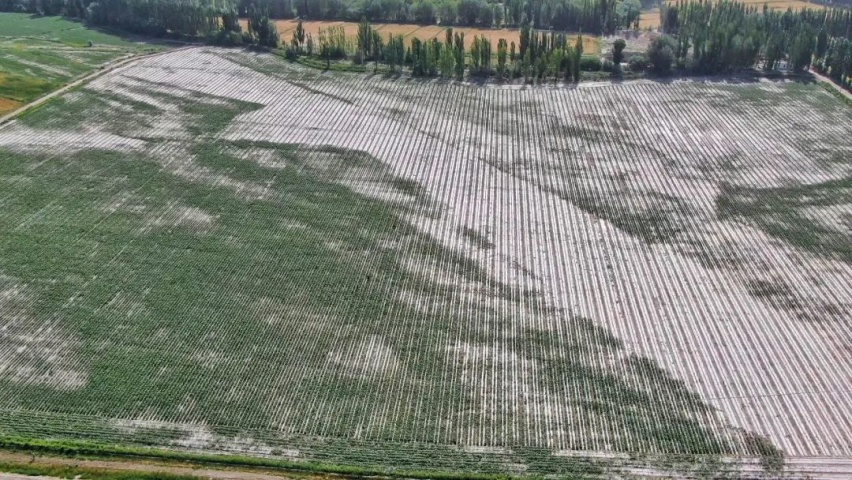 独库公路游古城！新疆自驾攻略（下）