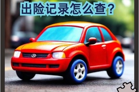小白必备！查询出险记录的5个方法，你知道几个？