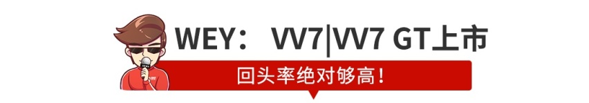 【新闻】新车荟萃！2019成都车展多款新车上市发布