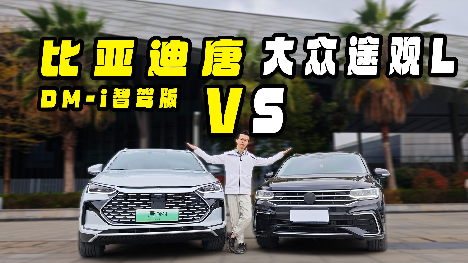 Yһ(qing)ȁDM-i{(qing)(qing)