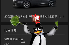 冲动消费的代价：获得了一辆最美旅行车-07GT