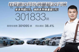比亚迪10月份销量超30万辆，宋系列超6万，海鸥系列销量超3万！