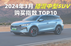 3月插混中型SUV TOP10，国产品牌甩开合资品牌，传统大厂发力