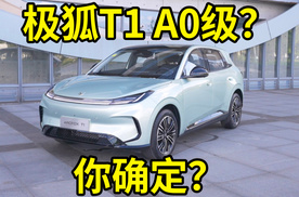 极狐T1这么大，这不可能是A0级车